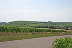 Domaine Yvon et Pascal Tabordet