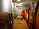 Tenuta di Vignole
