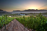 Mulderbosch / Stellenbosch