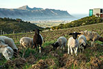 Waterkloof