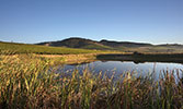 Mulderbosch / Stellenbosch