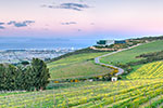 Waterkloof